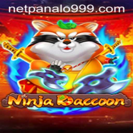 Discover the Exciting World of NinjaRaccoon